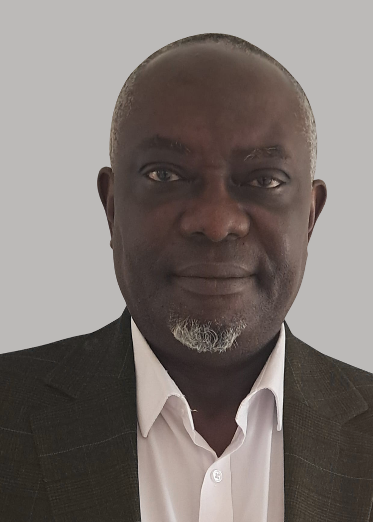 Mr. Godfred Williams