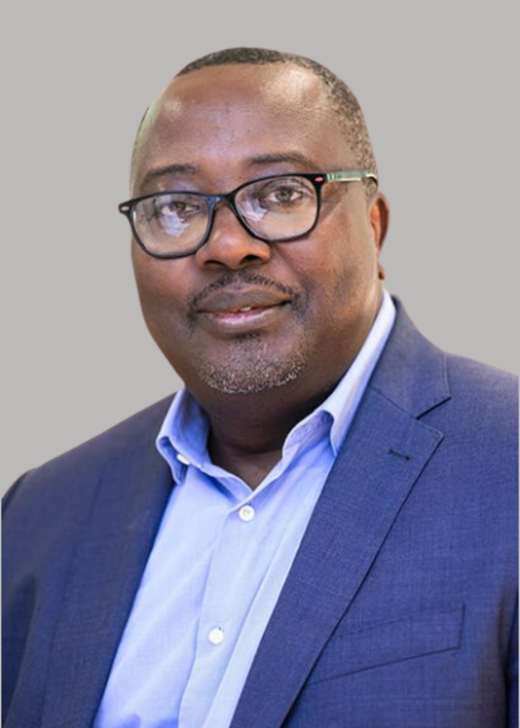 Professor Fosso Wamba